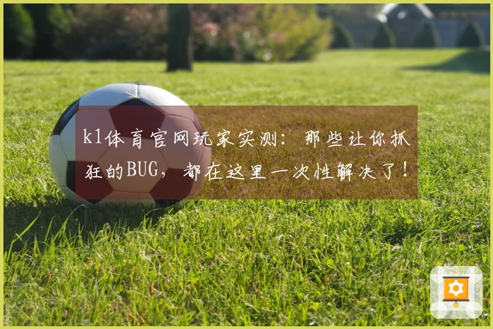 k1体育官网玩家实测：那些让你抓狂的BUG，都在这里一次性解决了！